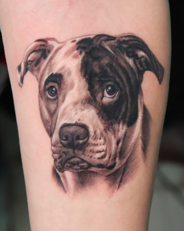 Tatuagem realista de uma cachorrinha, por Lucas Franca